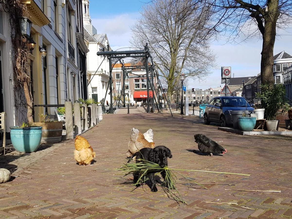 'T Hart Van Schiedam Bagian luar foto